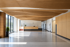 OASIS HOSPITAL – Slatted Wood Ceiling