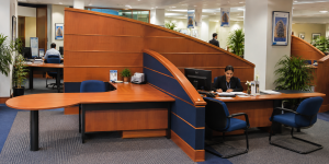 ANZ GRINDLAY BANK
