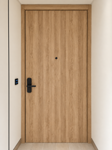 MAIN DOOR FLAT ENTRANCE
