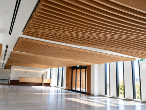 OASIS HOSPITAL – Slatted Wood Ceiling